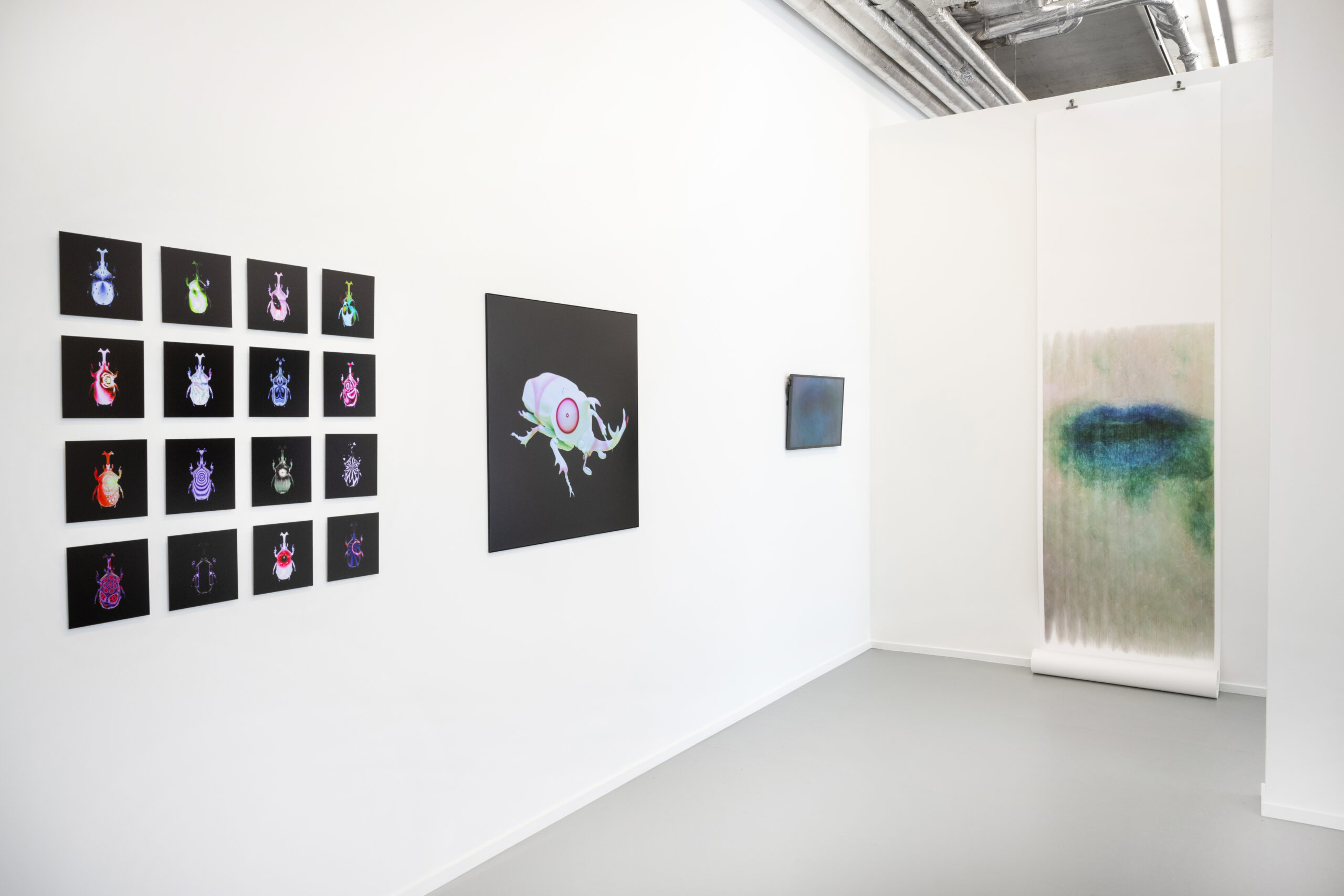 Libby Heaney quantum video editing artwork Never Too Much - installation view Plus One Gallery