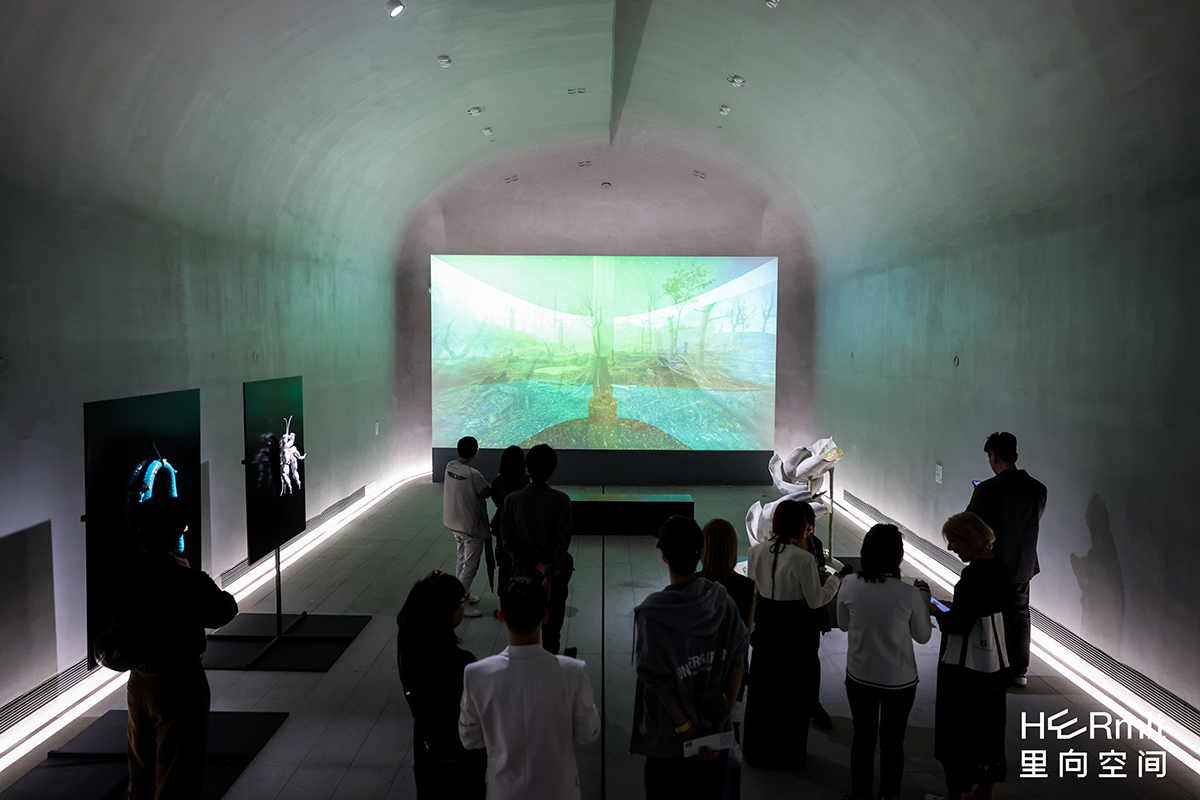 Libby Heaney's Q is for Climate projected at HERmit space MAHA Art Center Beijing