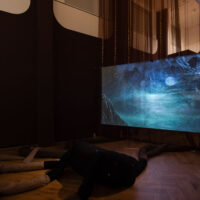 Shadowscapes (Emotional Dumping Ground) 2025