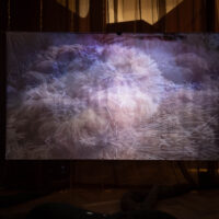 Libby Heaney Shadowscapes (Emotional Dumping Ground)