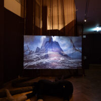 Libby Heaney shadowscapes Emotional Dumping Ground 2025