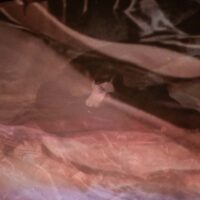 OrleansHG_LHeaney_LR-91