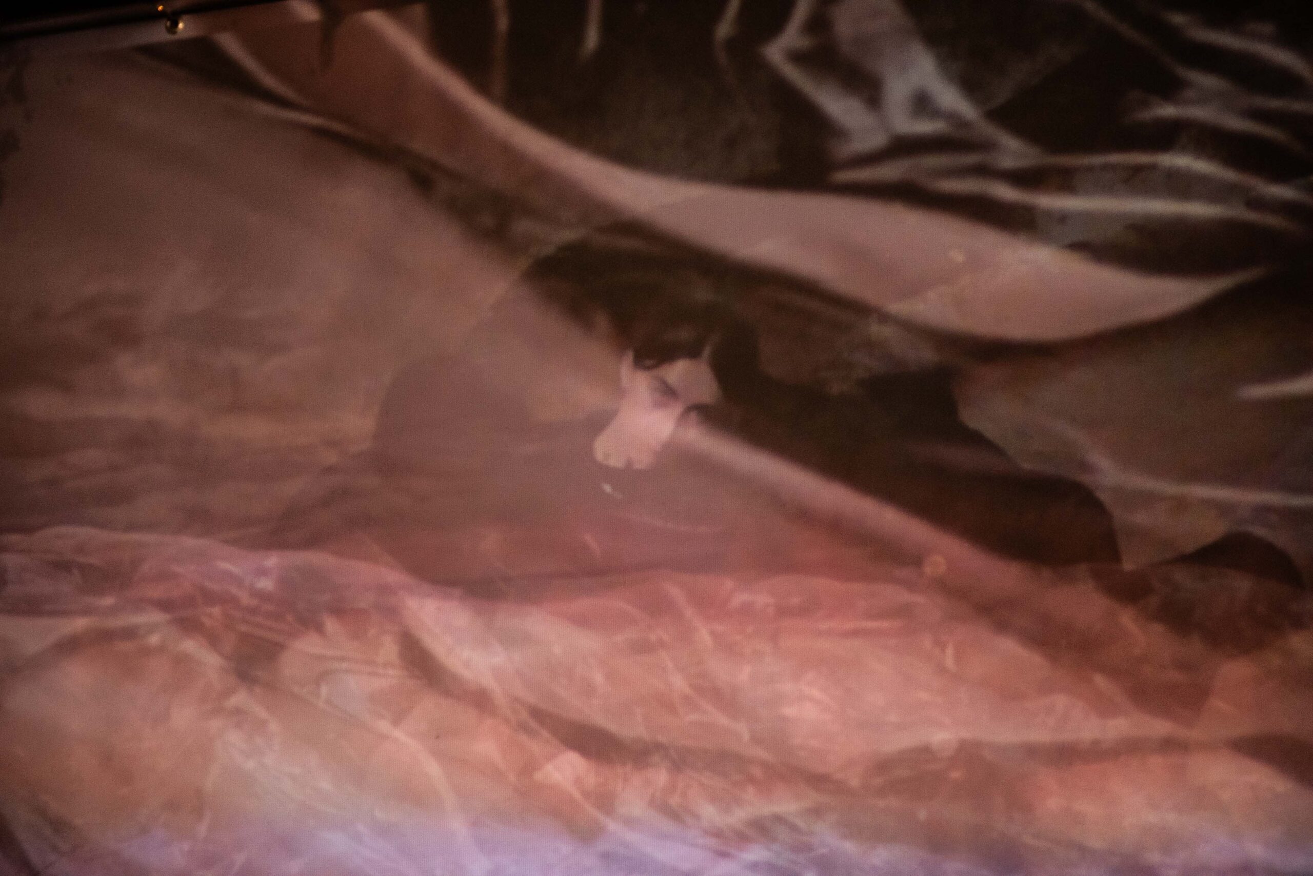 OrleansHG_LHeaney_LR-91