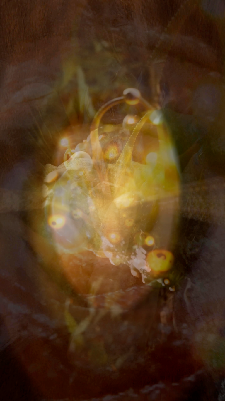 Vertical still image of Life in the Multiverse, 2026. Courtesy of Libby Heaney.