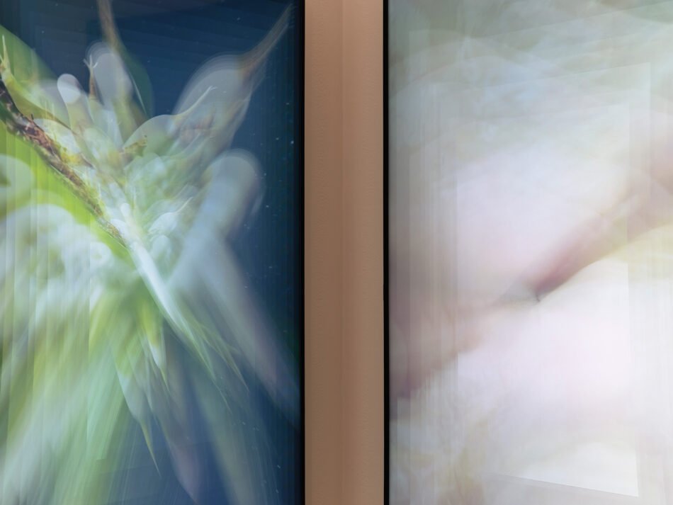 Installation view: Sip-Nip My-Our Mmmultiverse, 2026. 'Code Chronicles V.2', bitforms Gallery, New York City, 14th May - 6th June 2026. Photo: bitforms Gallery.